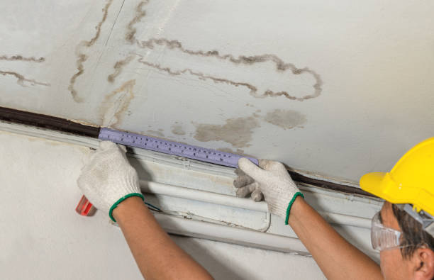 Reliable Water Damage contractor in Plainwell, MI by Water Damage Irwin